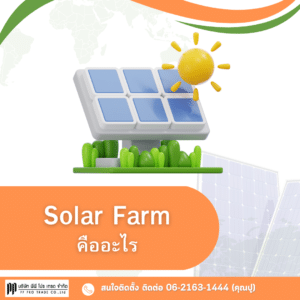 Solar Farm , โซล่าเซลล์