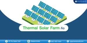 Thermal Solar Farm