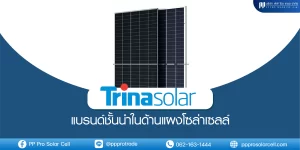 Trina Solar